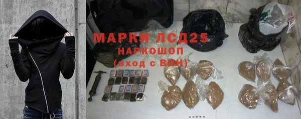 ГАЛЛЮЦИНОГЕННЫЕ ГРИБЫ Осташков