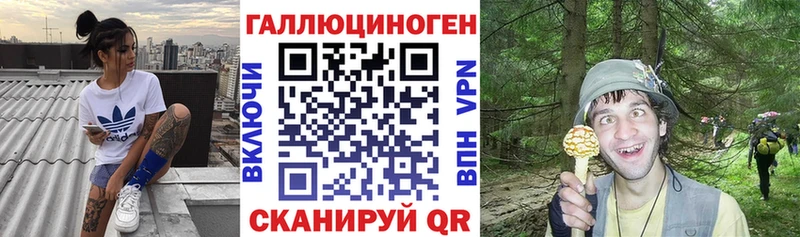 shop какой сайт Барыш Псилоцибиновые грибы Cubensis что такое наркотик